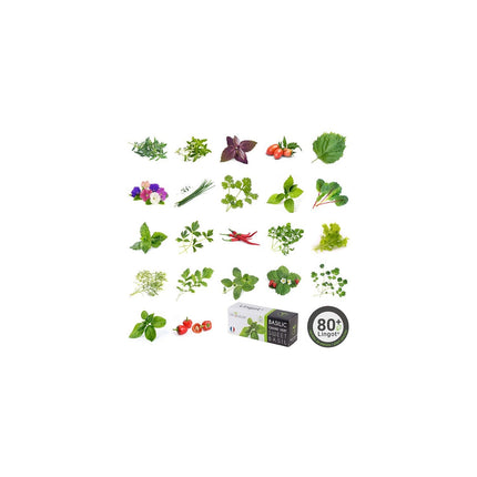 Recharge jardin d'intérieur VERITABLE piment Jalapeno