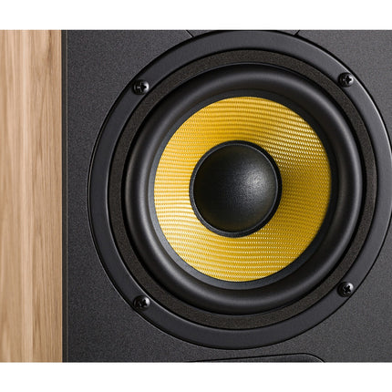Enceinte