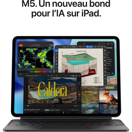 Tablette Apple IPAD Pro 13 M5 256Go Noir Sidéral Cellular