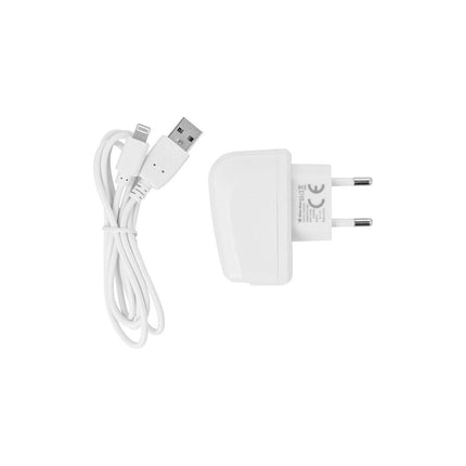 Chargeur secteur BLUESTAR sortie Output power: 5W + câble