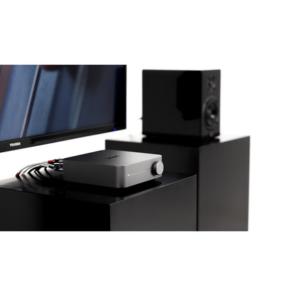 Amplificateur HiFi WIIM amp space grey