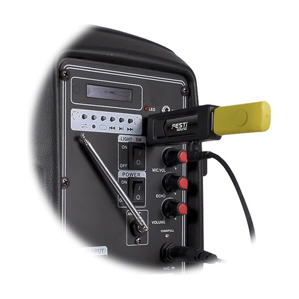 Micro FESTISOUND Système Microphone sans fil - FestiSound