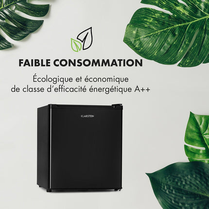 Mini congélateur KLARSTEIN Garfield Eco 4 étoiles 34L compact noir
