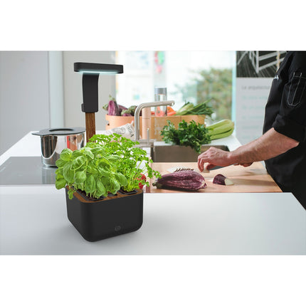 Jardin d'intérieur ESSENTIELB Eve