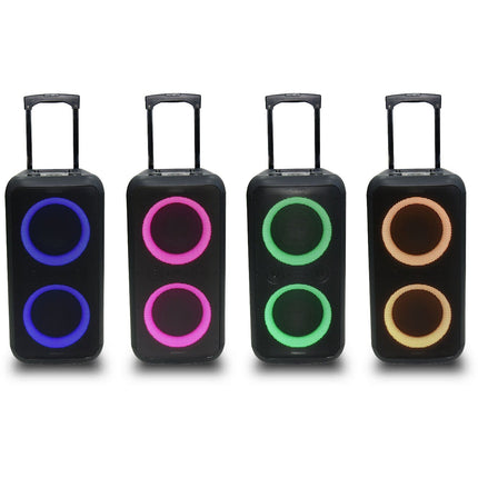 Enceinte sono ESSENTIELB PTB 500