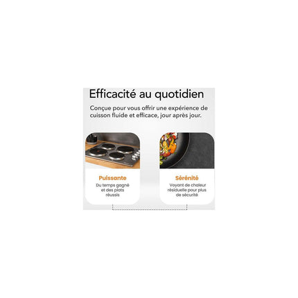 Plaque électrique BELDEKO TE41-151