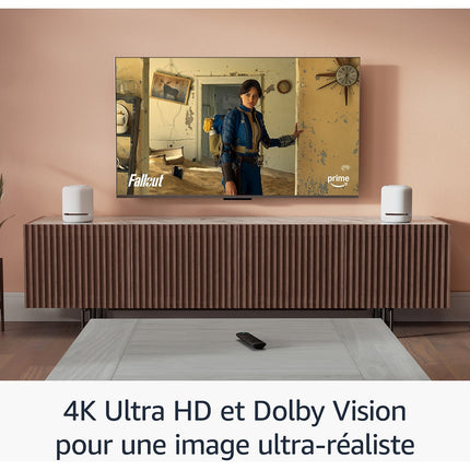 Passerelle multimédia AMAZON Fire TV Stick 4K Plus (2nd generation)