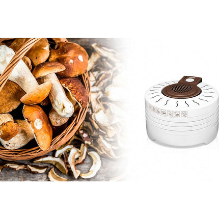 Déshydrateur MPM Déshydrateur d'aliments