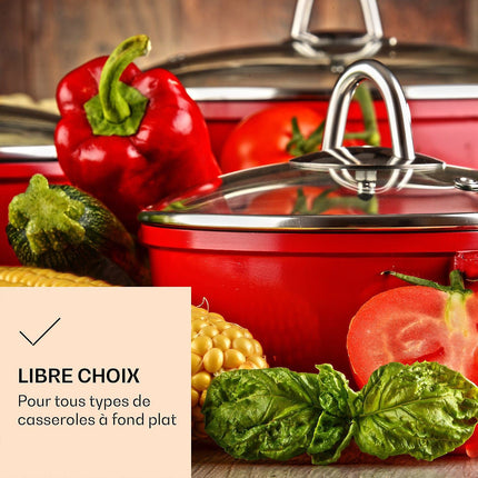 Plaque électrique KLARSTEIN Appetito 4 zones 6 niveaux 5500 W inox