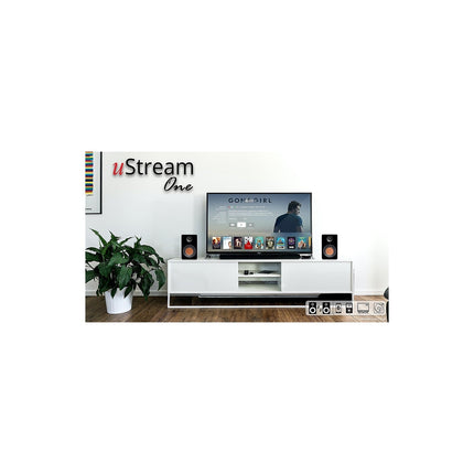 Enceinte résidentielle MITCHELL ACOUSTICS uStream one Noir