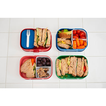 Bento MEPAL Campus leopard
