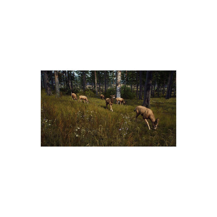 Jeu Xbox X THQ Way Of The Hunter Wild Expeditions