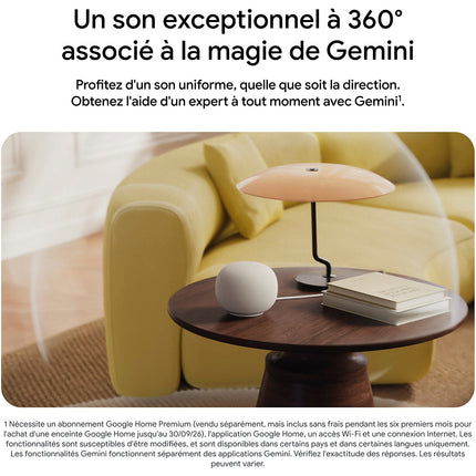 Assistant vocal GOOGLE Home Speaker Porcelaine