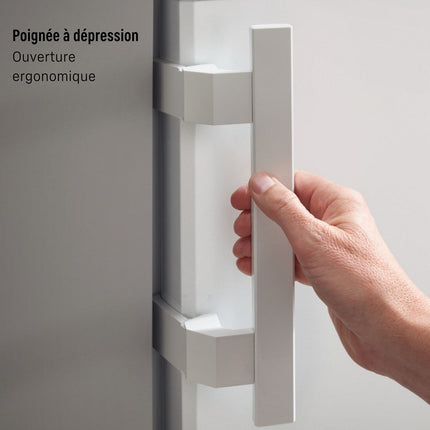 Congélateur armoire LIEBHERR FNe 5016-20