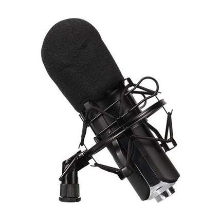 Micro HQ POWER Kit avec microphone à condensateur pour