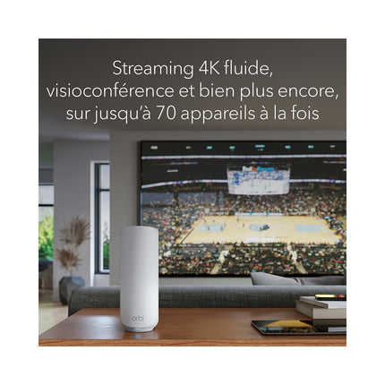 Système Wifi Mesh NETGEAR BE3600 Pack de 3 WIFI 7