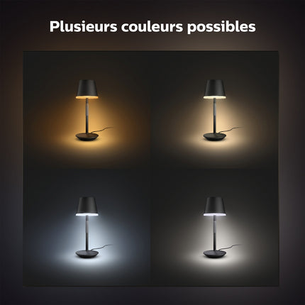 Lampe connectée PHILIPS HUE GO Noir White&Color Ambiance