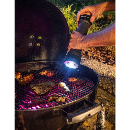 Moulin à poivre PEUGEOT graphite 30cm spécial BBQ
