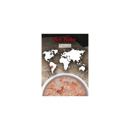 Sel PEUGEOT Sel Rose des Andes 350g