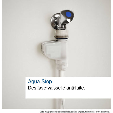 Lave vaisselle 60 cm BOSCH SMS4EMI09E Serenity