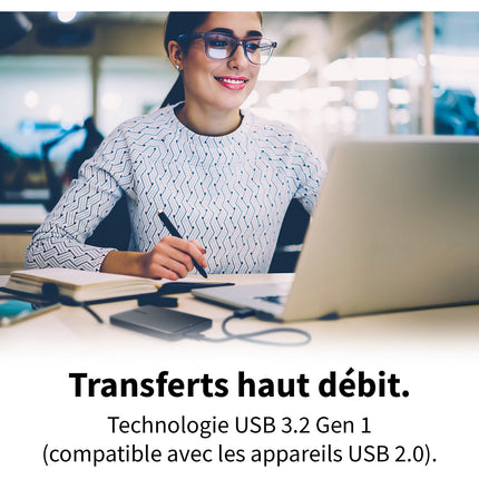 Disque dur externe TOSHIBA 2To Canvio Partner HDTB520EK3AB