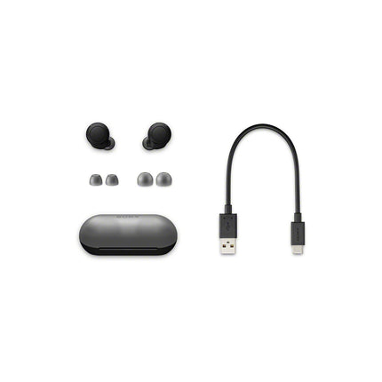 Ecouteurs SONY WF-C500 Blanc