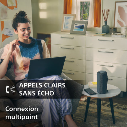 Enceinte portable SONY SRS-XE200 Gris Perle