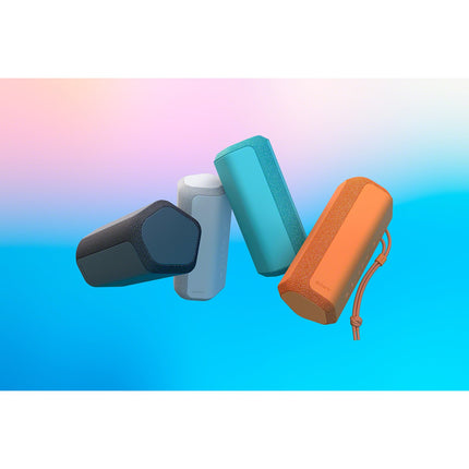 Enceinte portable SONY SRS-XE200 Gris Perle