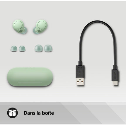 Ecouteurs SONY WF-C700N Sauge Reconditionné