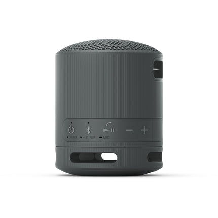 Enceinte portable SONY SRS-XB100