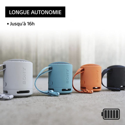 Enceinte portable SONY SRS-XB100