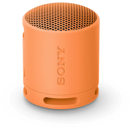 Enceinte portable SONY SRS-XB100