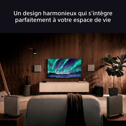 Barre de son SONY Theatre Quad