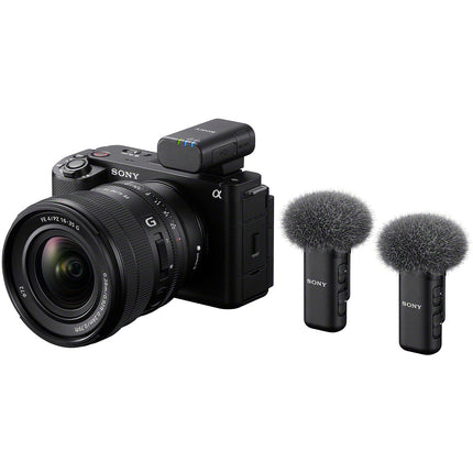 Micro SONY Micro sans fil digital 2 Canaux