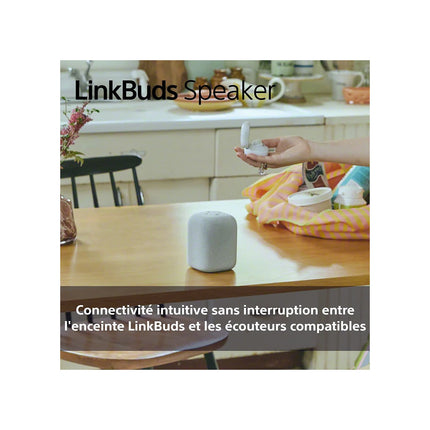 Enceinte portable SONY LINKBUDS Speaker Noire