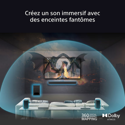 Kit enceinte surround SONY SARS8