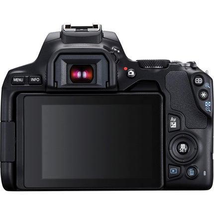 Appareil photo Reflex CANON EOS 250D Noir + 18-55mm IS STM Reconditionné
