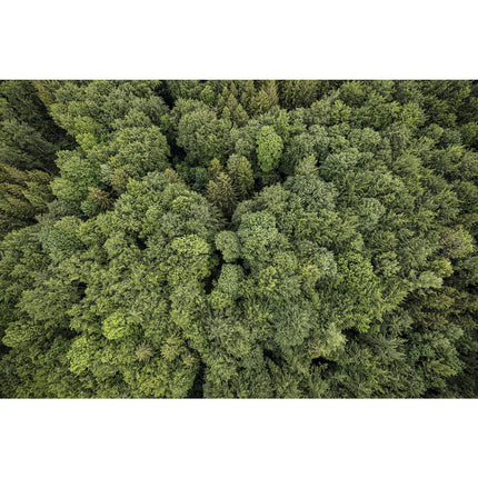 Appareil photo Hybride CANON EOS R5 Boîtier nu
