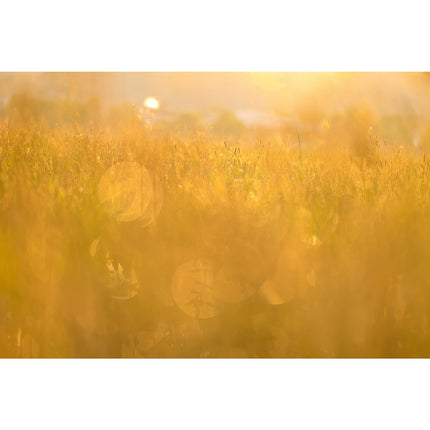 Appareil photo Hybride CANON EOS R5 Boîtier nu