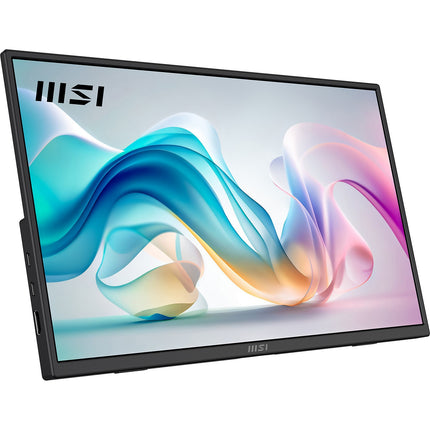 Ecran PC MSI PRO MP165 E6
