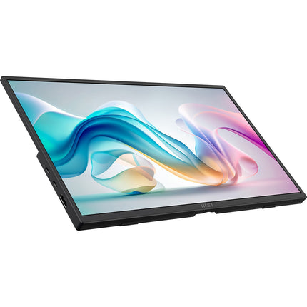 Ecran PC MSI PRO MP165 E6