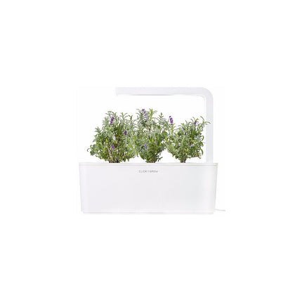 Recharge jardin d'intérieur CLICK AND GROW Lavande (lot de 3)