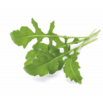 Recharge jardin d'intérieur CLICK AND GROW Roquette lot de 3