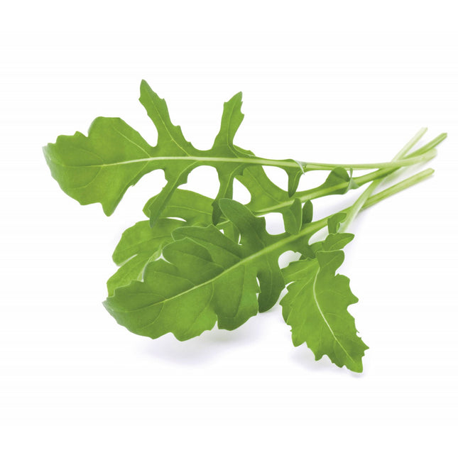 Recharge jardin d'intérieur CLICK AND GROW Roquette lot de 3