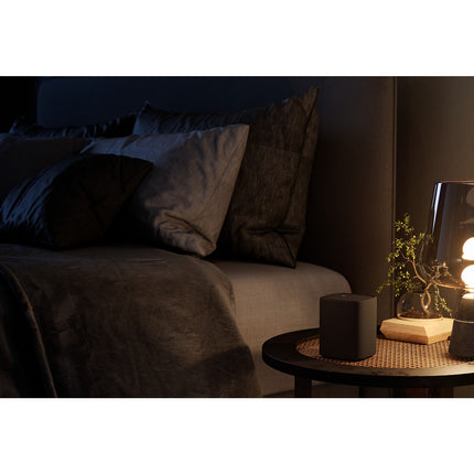 Enceinte portable YAMAHA WS-X1A