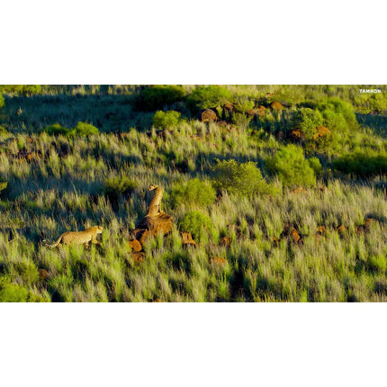 Objectif pour Hybride TAMRON 150-500mm F5-6.7 Di III VC VXD Sony FE