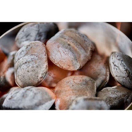 Briquette de charbon WEBER de briquettes 8kg de noix de coco