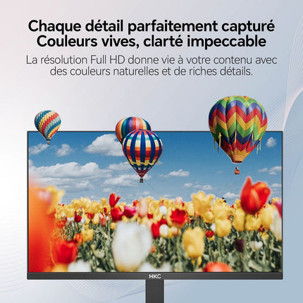 Ecran PC HKC V2218M VA