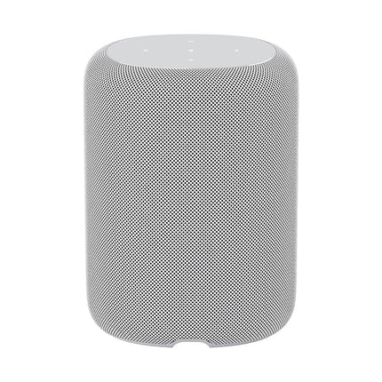 Enceinte Multiroom WIIM Sound Black with display