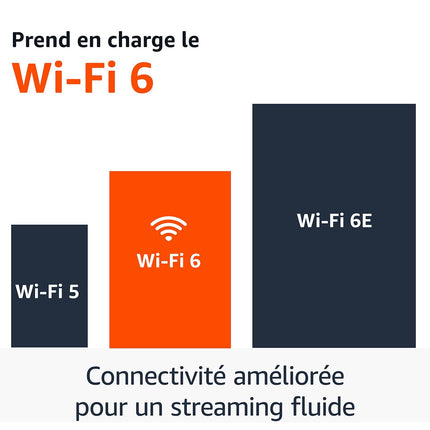 Passerelle multimédia AMAZON Fire TV Stick 4K Plus (2nd generation)